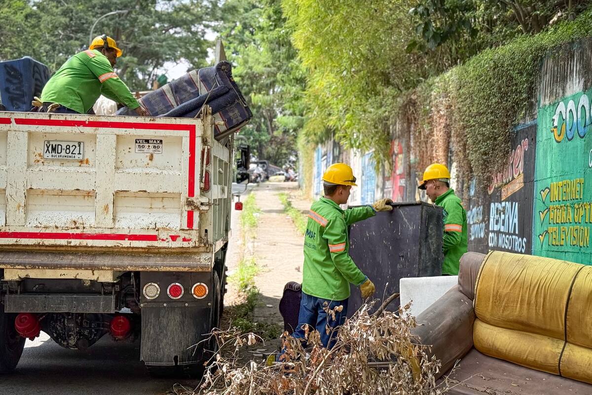 Según cada caso, esta cuadrilla también se encarga de llevar a cabo labores como poda y trabajos de ornamentación, para el arreglo de componentes y adecuaciones metálicas, como pasamanos. (Fotos: suministradas / VANGUARDIA)