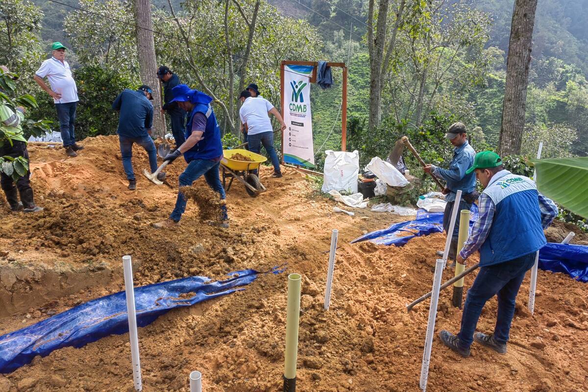Este proyecto ambiental arrancó con cuatro unidades productivas de café, en zona rural de Floridablanca. (Fotos: suministradas / VANGUARDIA)