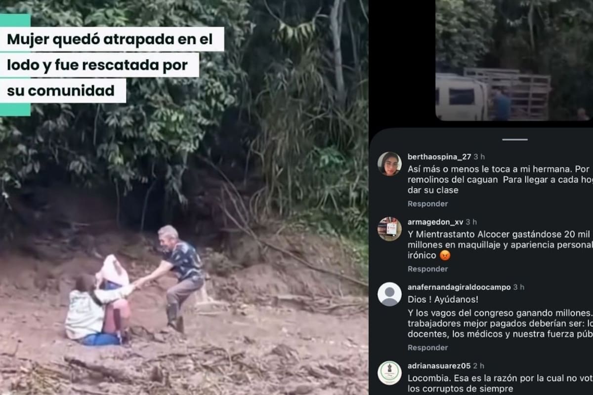 Imagen de apoyo