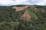 En Santander alertan sobre “destrucción de bosque” y un presunto loteo ilegal en zona de preservación