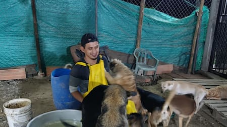 En Santander, refugio con 104 mascotas lanza un SOS ante inminente desalojo