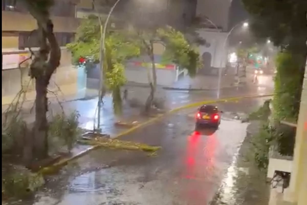 En video: tormenta deja árboles caídos, choques y daños en varios sectores del área metropolitana de Bucaramanga