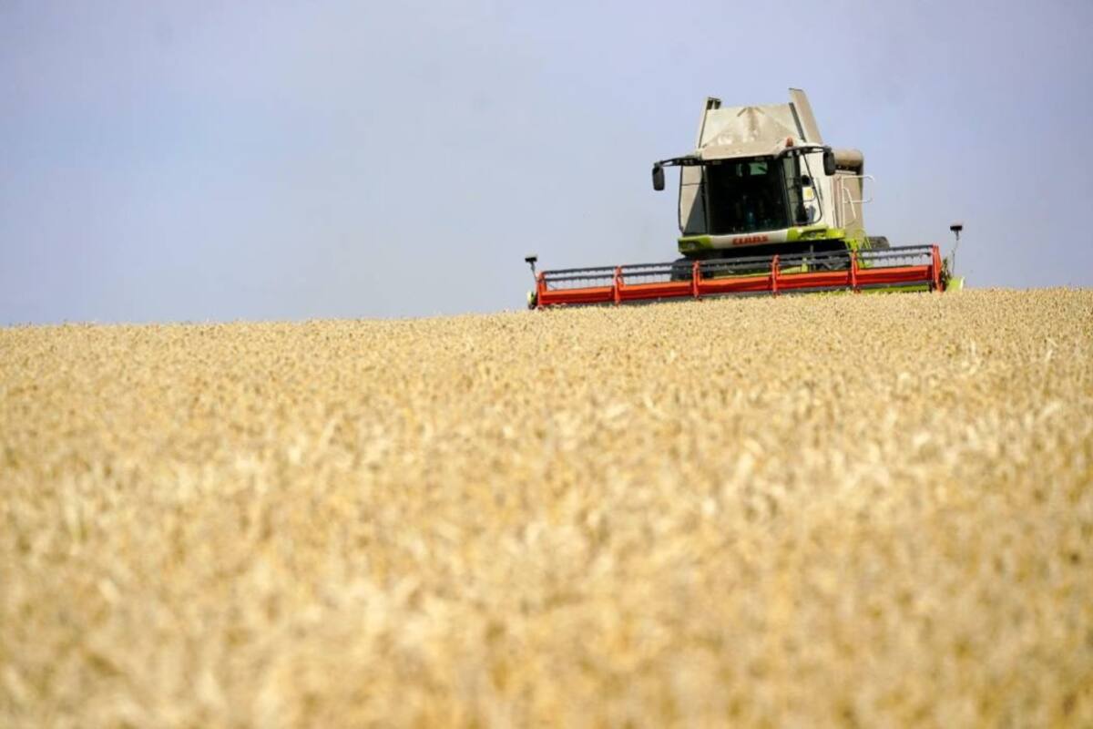 Los mayores crecimientos se presentaron en el sector agropecuario, la extracción y refinación de petróleo y la producción industrial, según el boletín económico Regional del Banco de la República. (Foto: Archivo/ VANGUARDIA LIBERAL)
