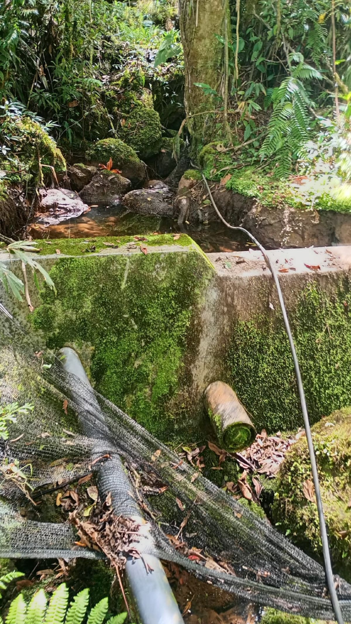 Las bocatomas de algunos acueductos rurales empiezan a evidenciar problemas para el abastecimiento.