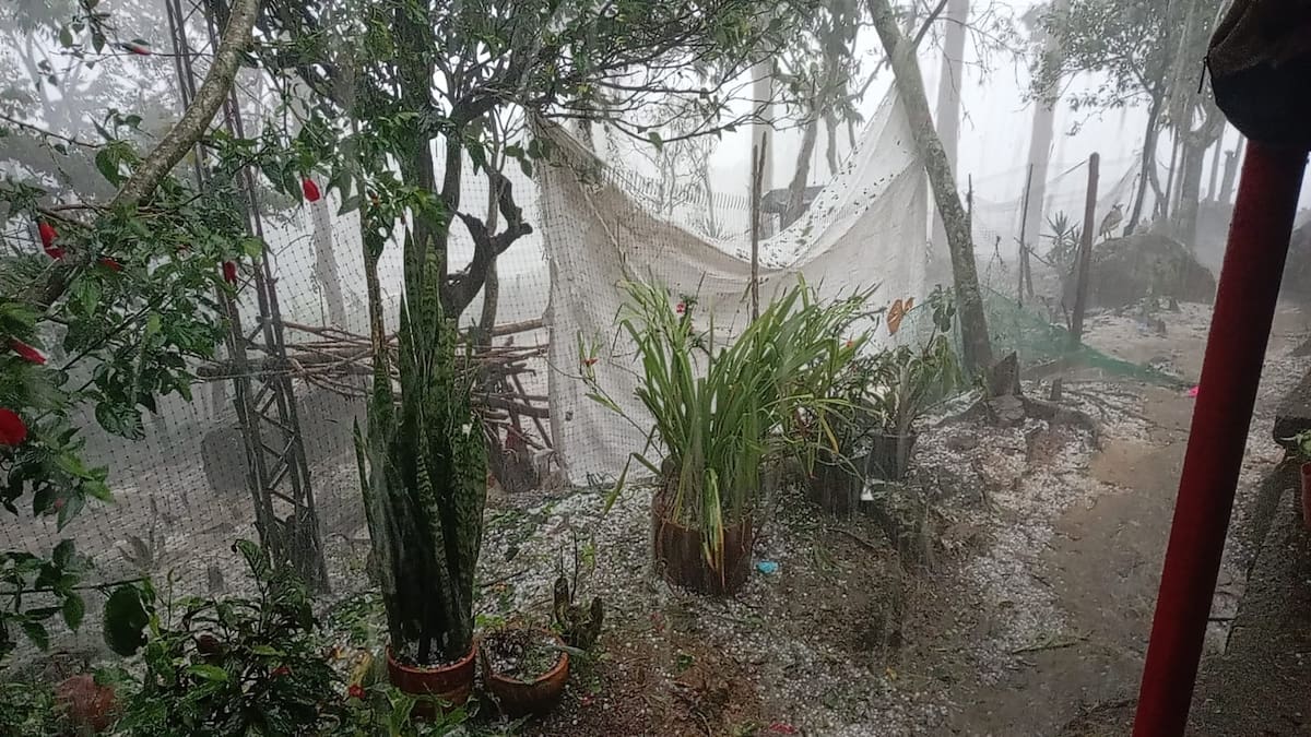 En Encino las lluvias afectaron cuatro veredas y generaron daños en cultivos y vías rurales.