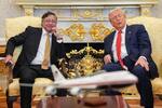 Petro y Trump se reunieron dos horas en la Casa Blanca: imágenes revelan cómo fue el ambiente