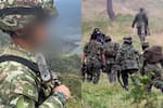 Golpe a una disidencia de las Farc: 16 integrantes se entregaron al Ejército