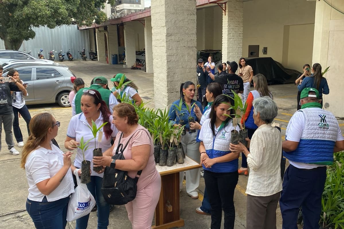 Sembrar una árbol puede convertirse en un gran gesto para cuidar el planeta. Por eso, en el marco del Día Mundial del Agua, Vanguardia, en alianza con la CDMB, entregará plántulas, es decir, árboles en sus primeros estadios de desarrollo, este jueves 19 desde las 2:30 p.m.