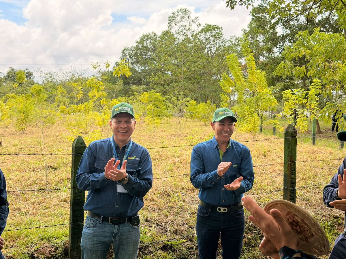 El presidente de Ecopetrol visitó la zona donde en 2018 se registró el afloramiento del pozo Lisama 158 y que hoy hace parte de la Ecoreserva La Tayra–Lizama, en zona rural de Barrancabermeja.
Suministrada/Vanguardia