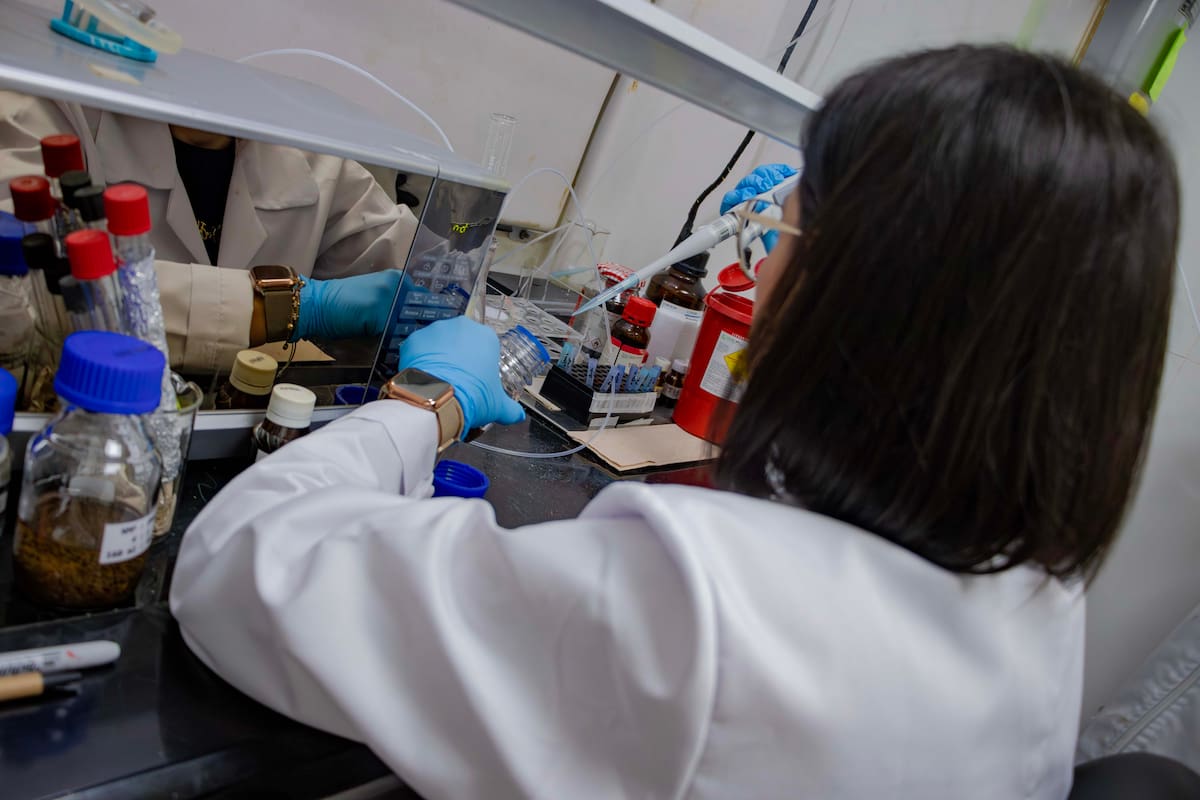 El químico farmacéutico es una figura clave en hospitales, laboratorios e industrias dedicadas al desarrollo de medicamentos. - Erika Díaz /VANGUARDIA