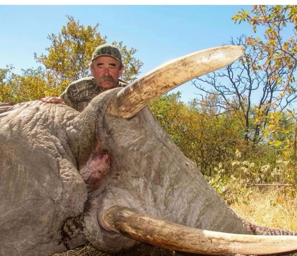 Ernie Dosio, millonario estadounidense de 75 años y dueño de viñedos en California, murió el 17 de abril en el bosque de Lope Okanda, Gabón.
