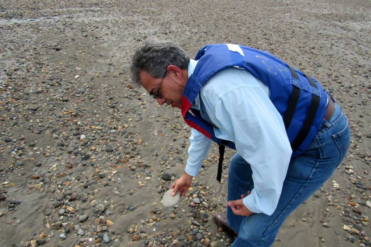 En medio del río Magdalena, las directivas de Navelena dieron cuenta de las dunas de piedra volcánica que se han formado en el fondo del afluente, y que después de 30 años de la erupción del volcán Nevado del Ruiz están afectando el canal navegable. (Foto: Marcelo Almario Chávez/VANGUARDIA LIBERAL)