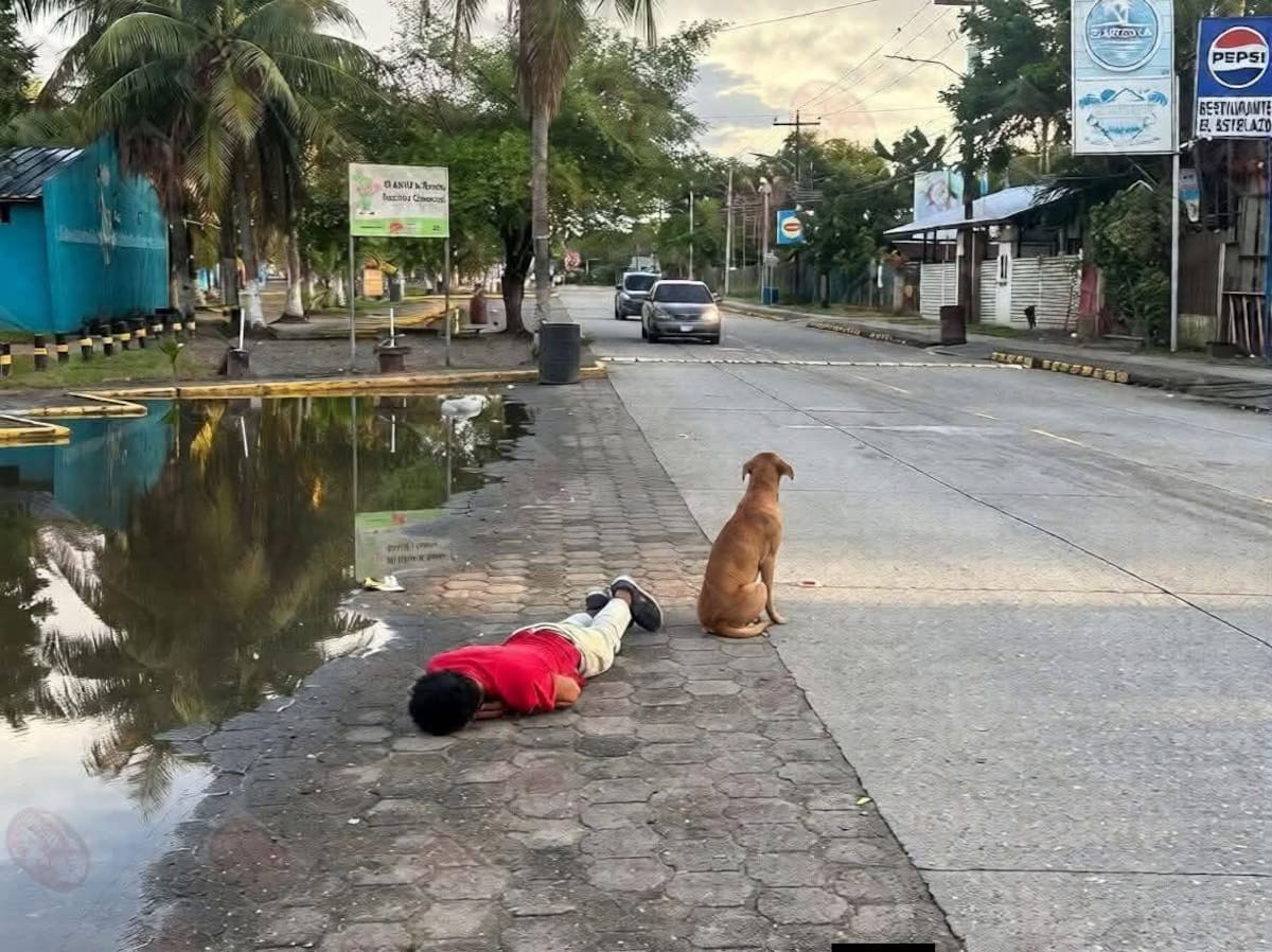 Conmueve en redes el perro que no abandonó a su dueño toda la noche.