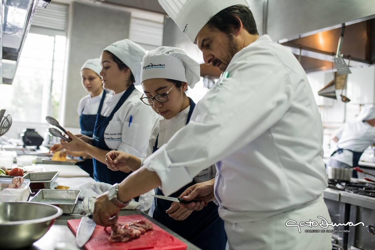 La reconocida institución de origen argentino, Gato Dumas, escogió la ciudad de Bucaramanga, como su tercera sede.