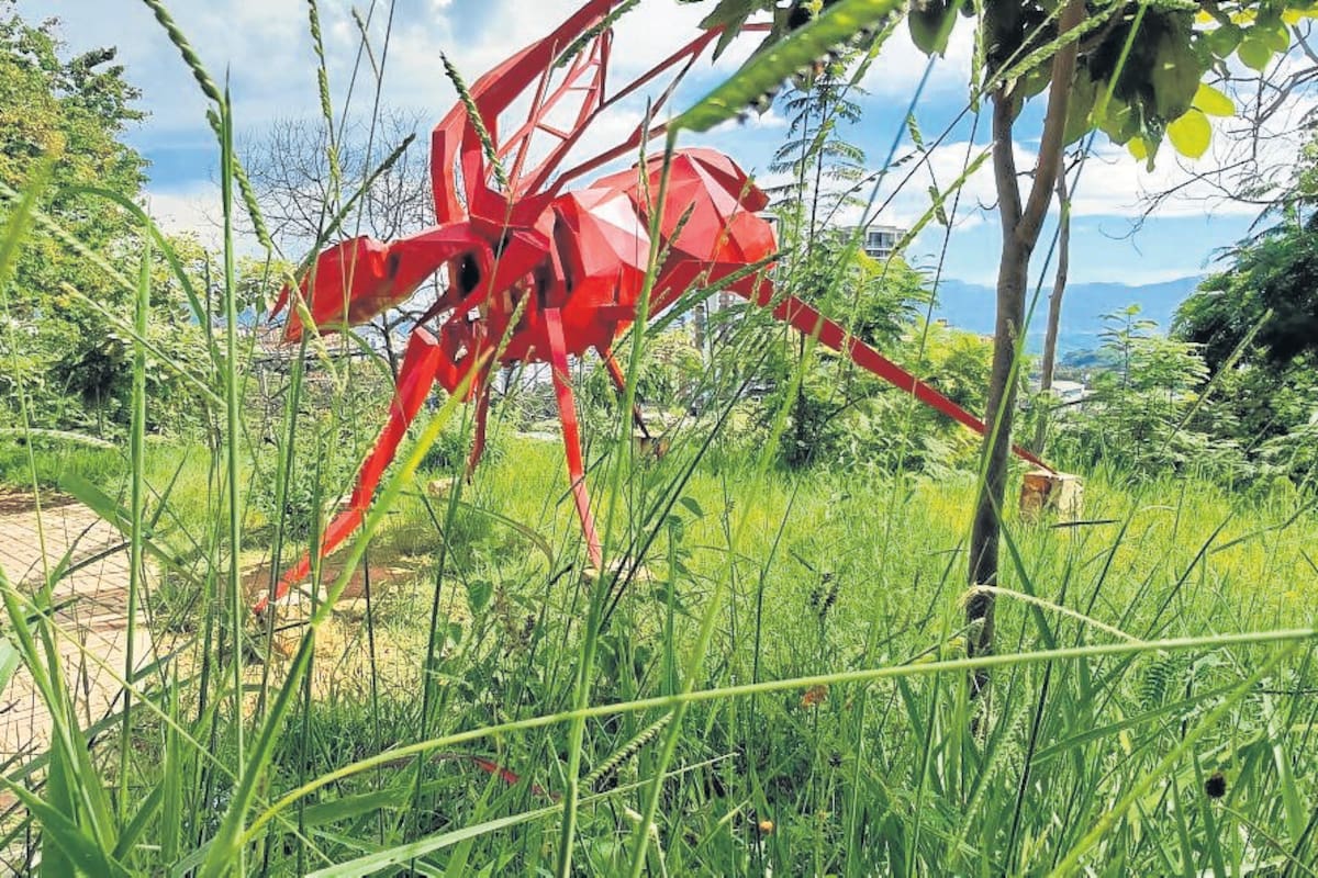 Esculturas en Bucaramanga: ¿Qué pasa con el patrimonio cultural? Fotos Marco Valencia/VANGUARDIA