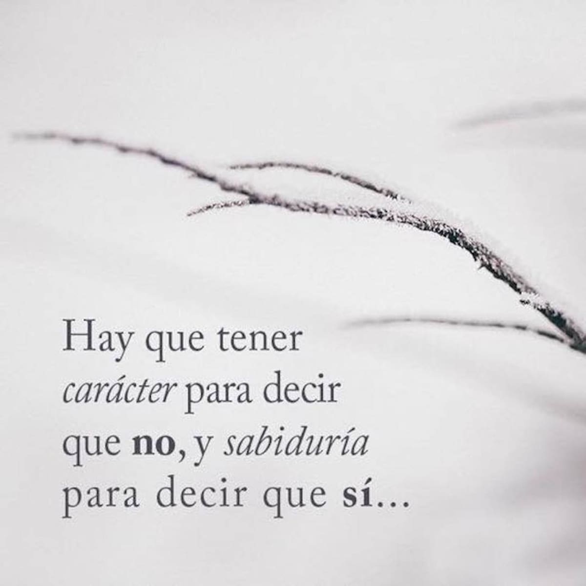 Gran verdad