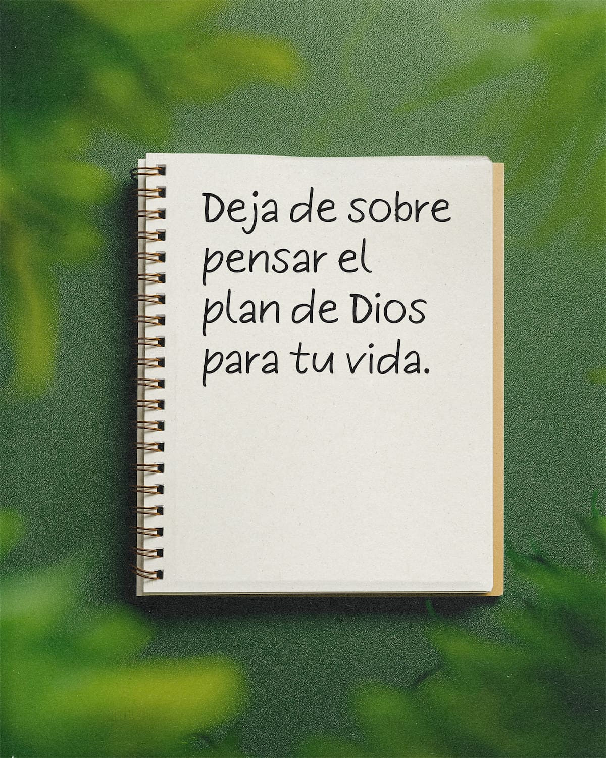 Los tiempos de Dios son perfectos