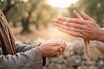Reflexión espiritual: lo que perdemos para recibir con nuevas manos