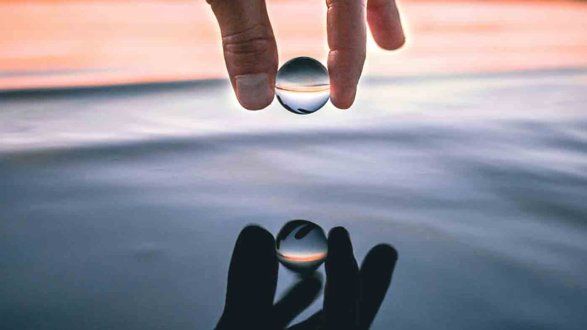 Transparencia en la vida