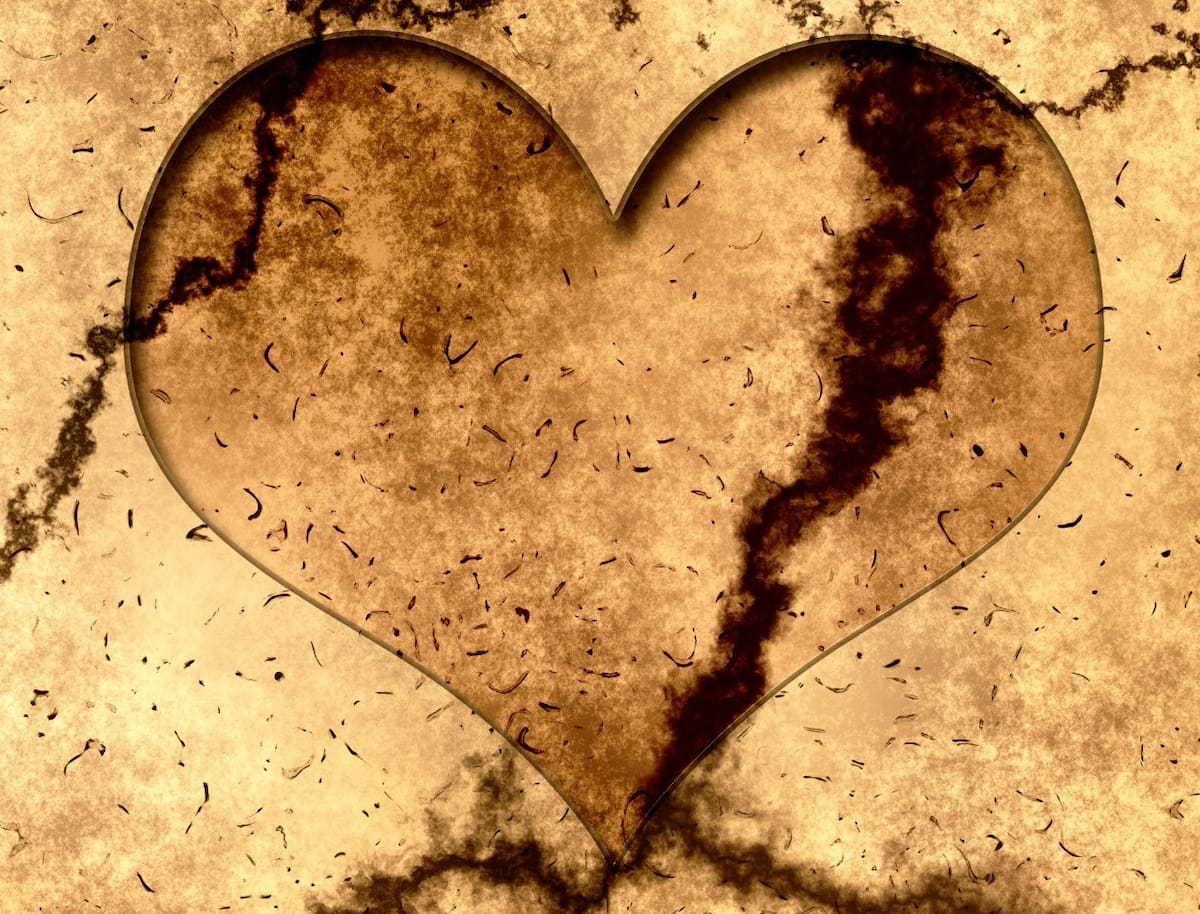 El corazón roto por las dificultades necesita recordar que la vida todavía ofrece momentos para volver a empezar.