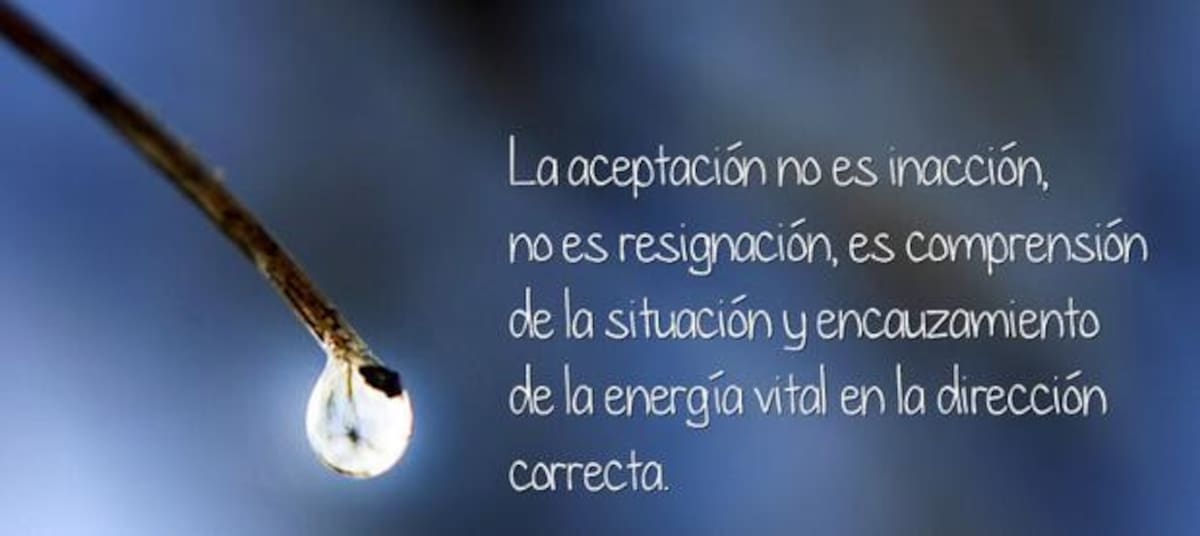 Una gota de aceptación.