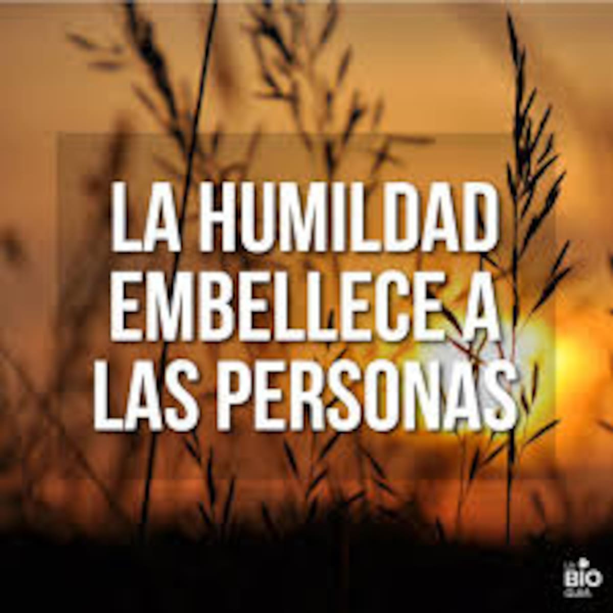 Gran verdad