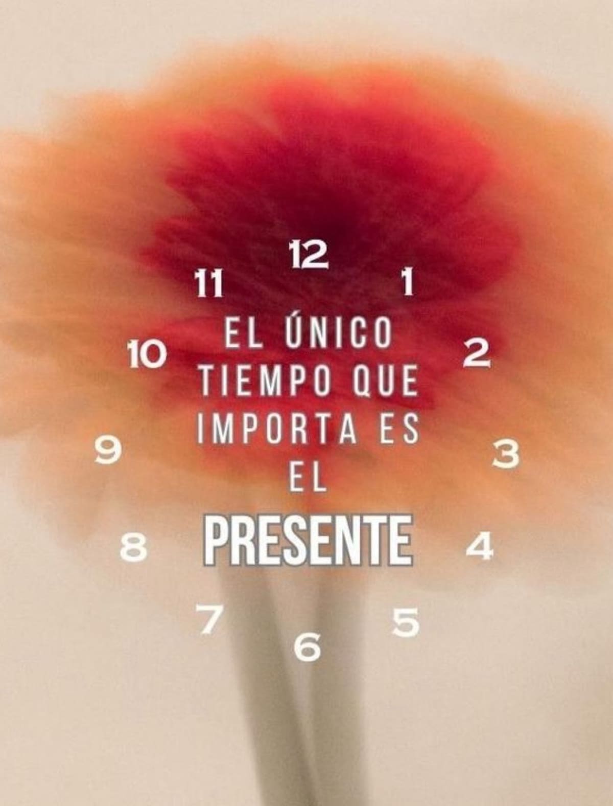 Gran verdad