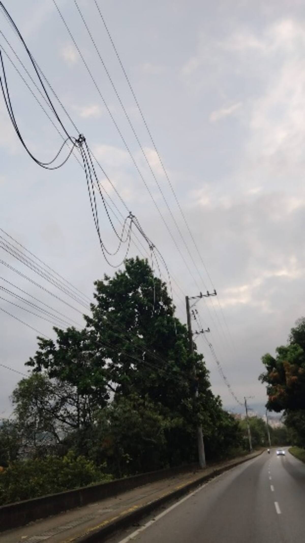 Daños en redes eléctricas