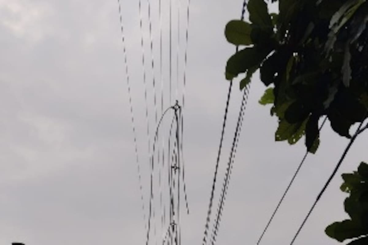 Daños en redes eléctricas.