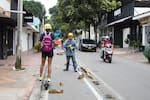 ¿Vías compartidas? Así cambiaría la ciclorruta en Bucaramanga