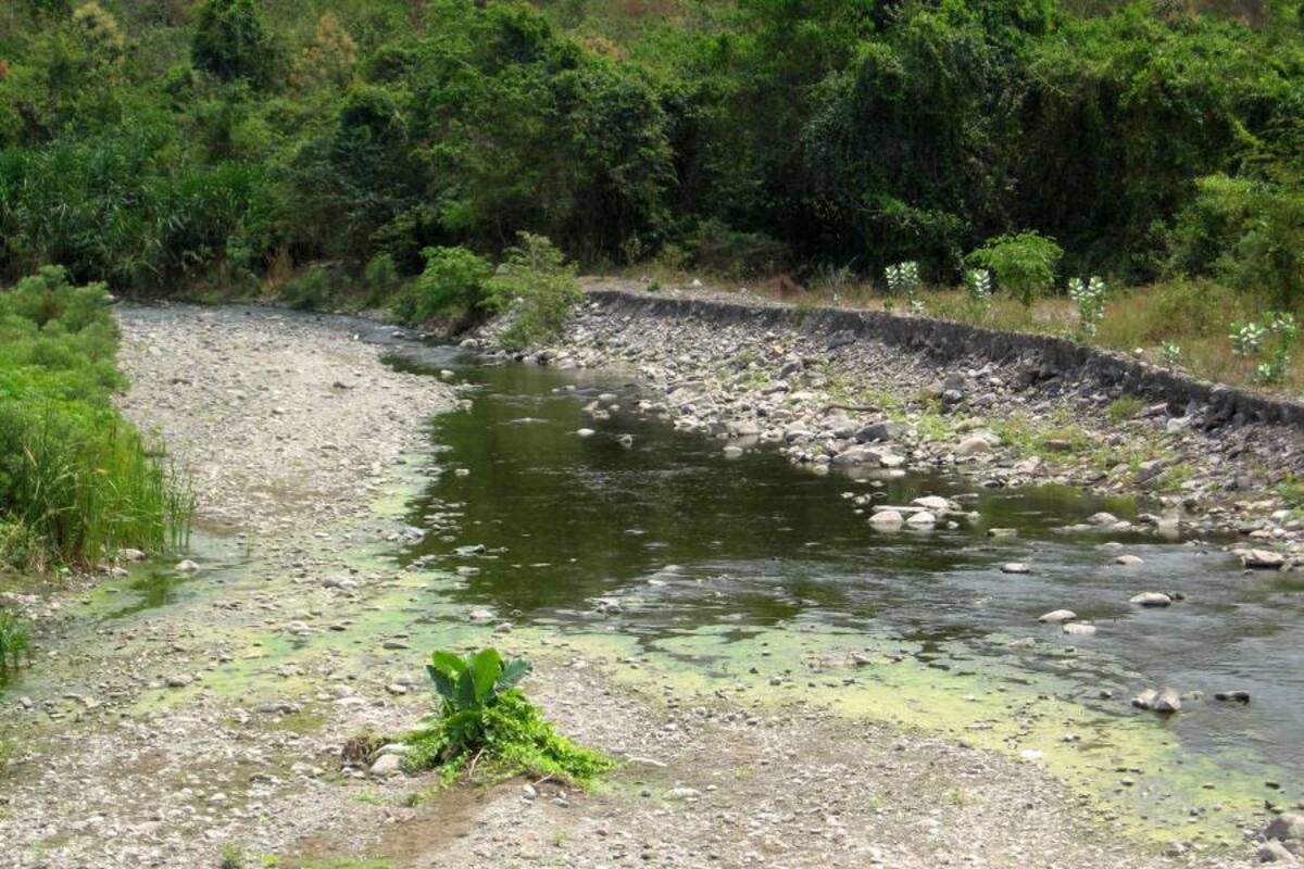 Con dicho fallo “por fin habrá una política integral única para la recuperación del río Bogotá”, uno de los más contaminados del país, que tendrá como objetivo el manejo integral de las cuencas y el mejoramiento de la calidad de vida de los habitantes de la región. (Foto: Archivo / VANGUARDIA LIBERAL)