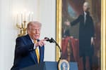 Estados Unidos y Nigeria anuncian la muerte del “número dos” del Estado Islámico