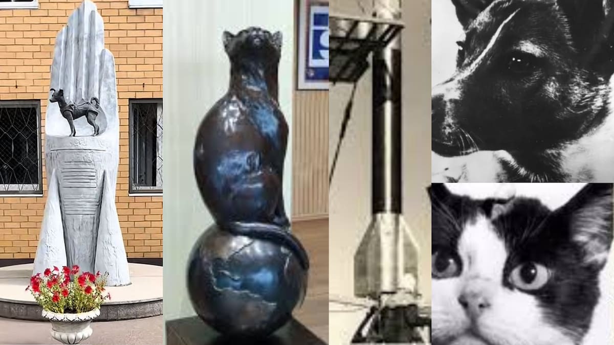 Imágenes que reúnen los rostros de Laika y Félicette, los monumentos en su memoria y las naves que marcaron estas misiones, hoy convertidas en parte del legado histórico de la exploración espacial. Imágenes tomadas de: Redes Sociales / Ilustración de collage propio.