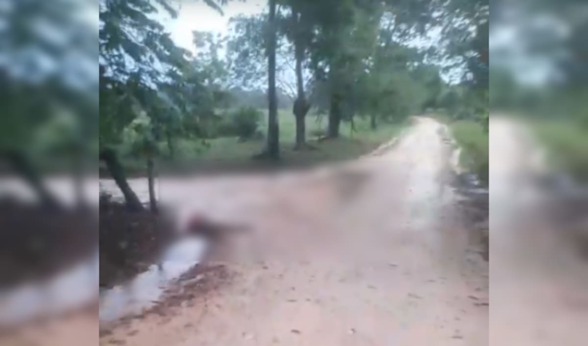 Este fue el lugar donde fueron halladas las dos personas asesinadas en la vereda La Platanala, en el corregimiento de La Tigra.