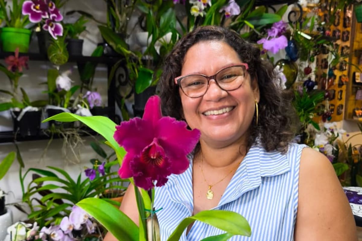 Suministrada/Vanguardia