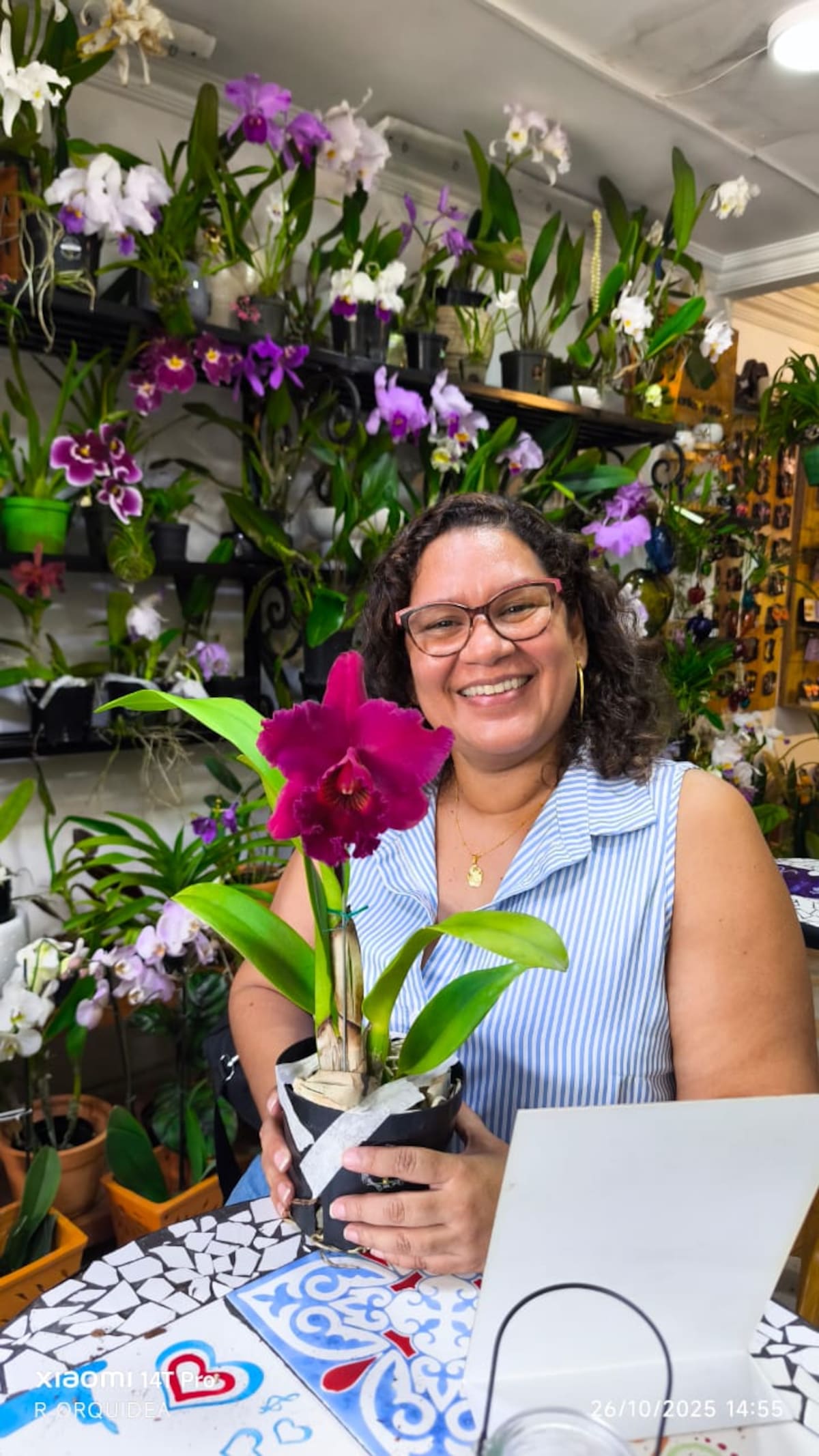 Suministrada/Vanguardia