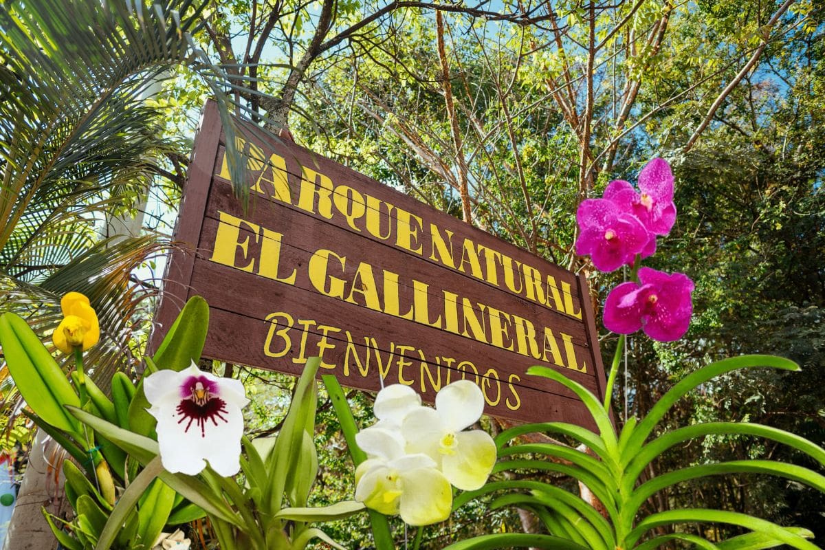 Fotomontaje (suministradas)/Vanguardia