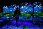 Madrid se sumerge en la magia de Monet: Retrospectiva de niebla, luz y nenúfares
