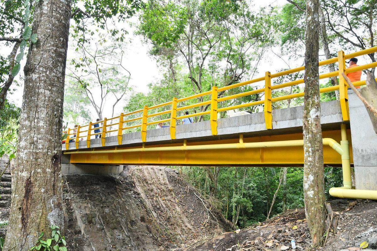 Suministrada/Vanguardia