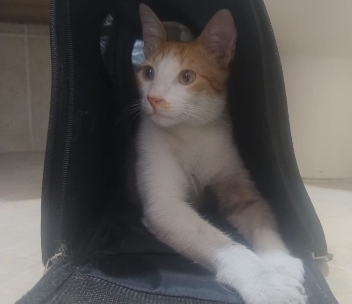 Fabio permanece en valoración médica por deshidratación tras los días que pasó fuera de casa. Su estado es estable.