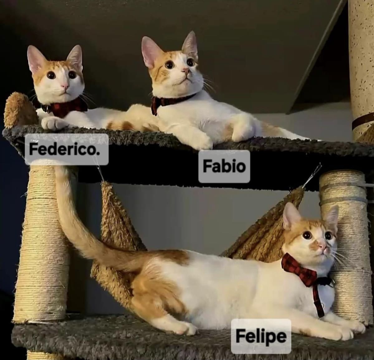 Fabio junto a sus hermanos Federico y Felipe, que lo esperan en casa tras su hallazgo en Cañaveral, Floridablanca.