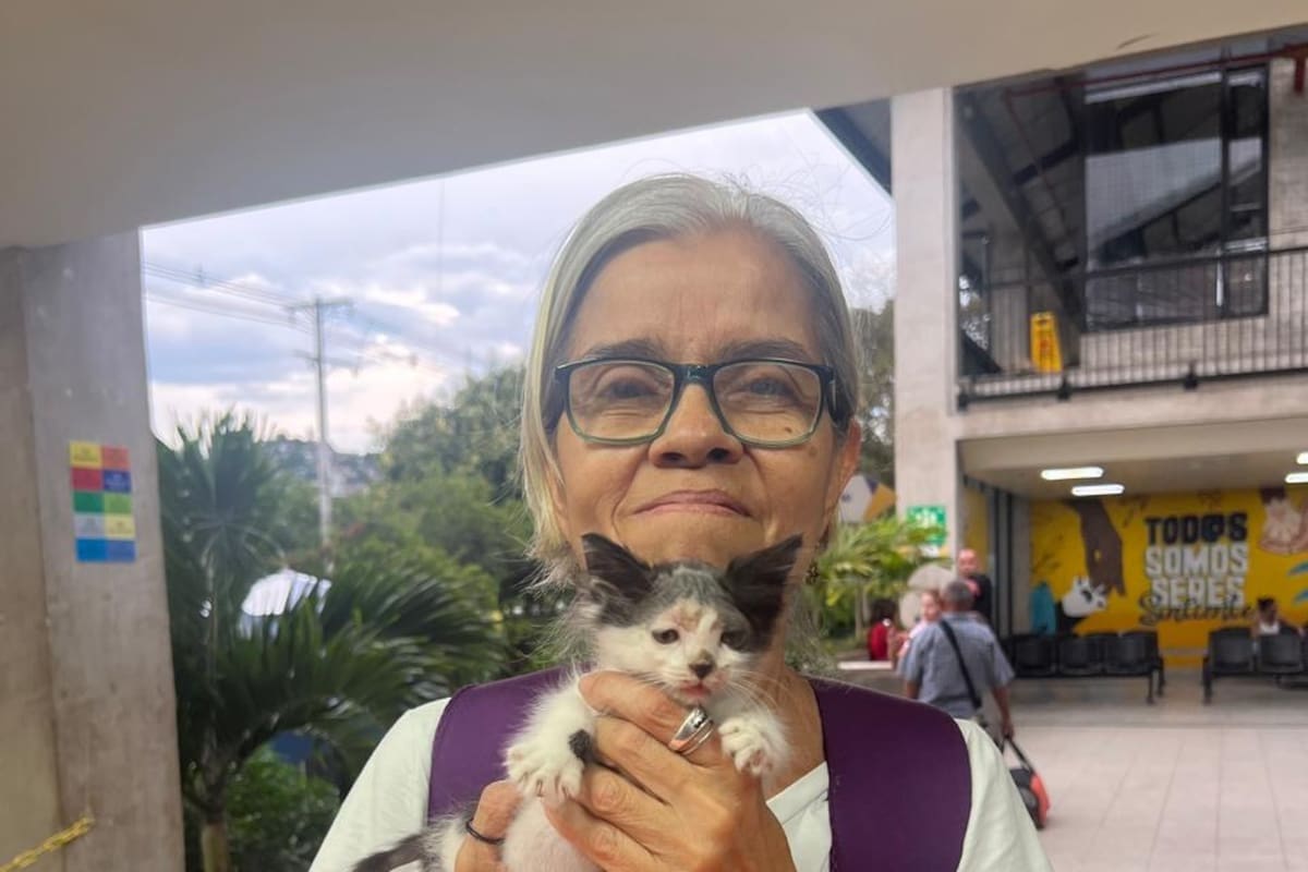 Fallece reconocida animalista: su hijo es investigado como sospechoso