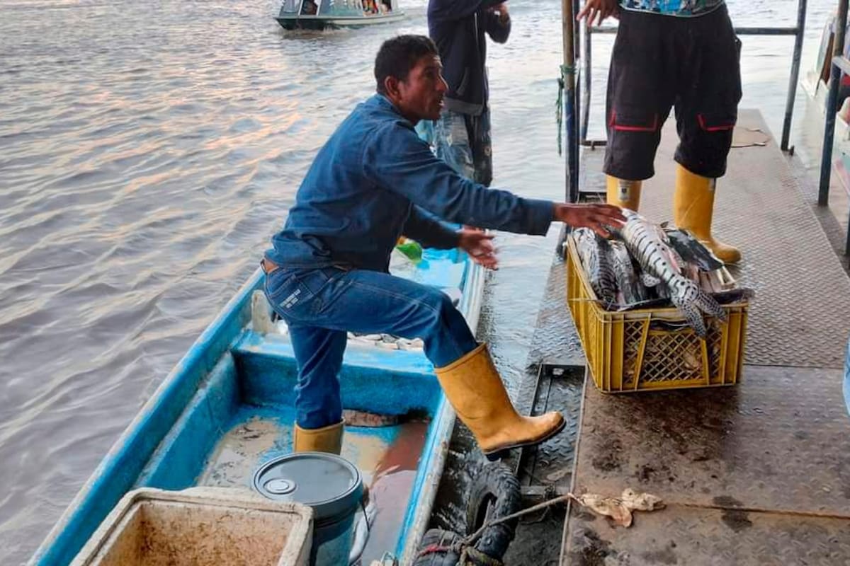 Suministrada / VANGUARDIA