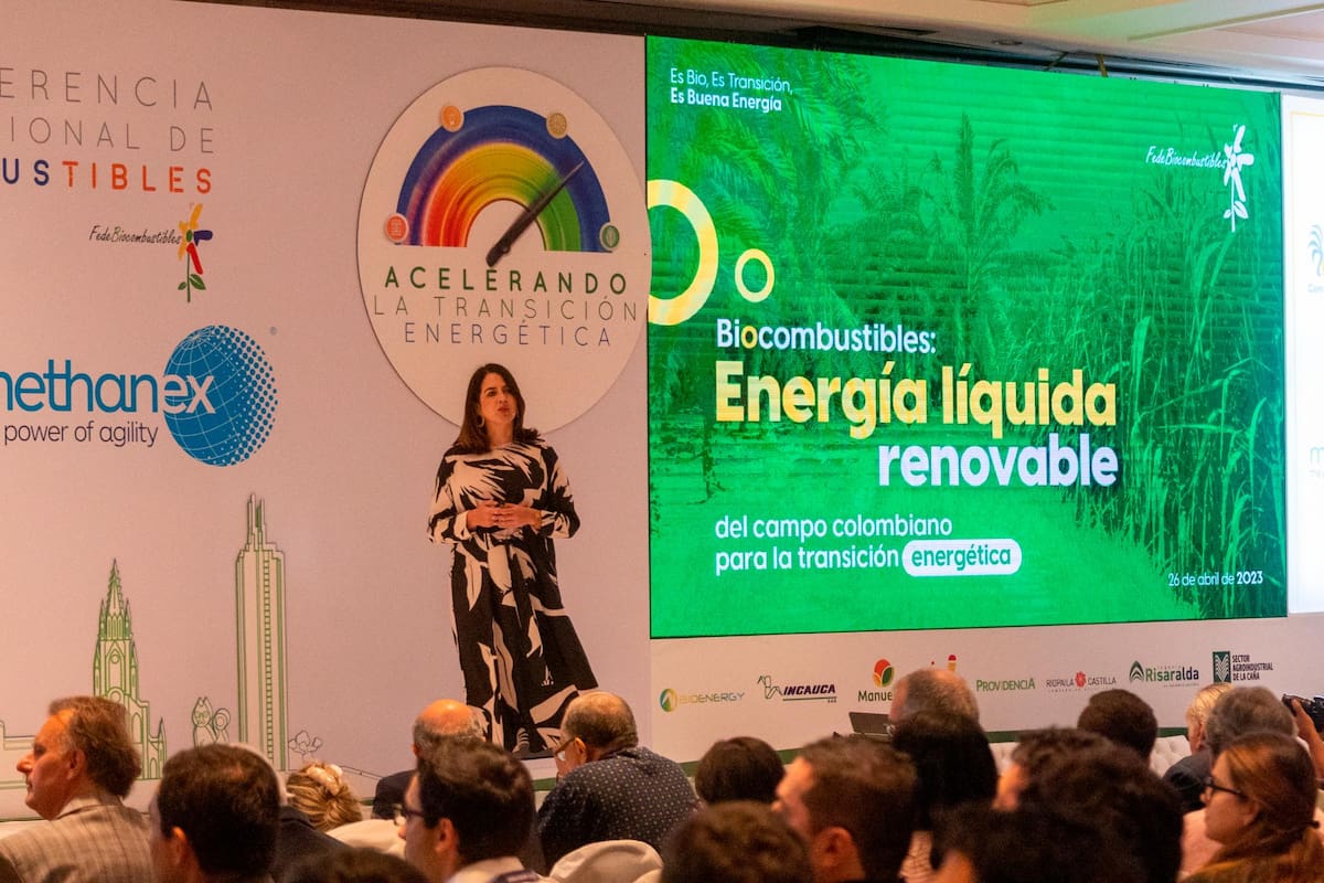 Suministrada / VANGUARDIA Carolina Rojas Hayes, presidenta ejecutiva de la Federación Nacional de Biocombustibles de Colombia – Fedebiocombustibles.