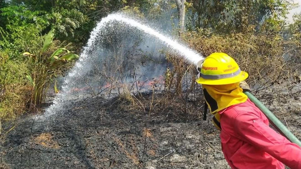 El Gobierno nacional anunció medidas preventivas frente al posible fortalecimiento del fenómeno de El Niño.
Suministrada/Vanguardia
