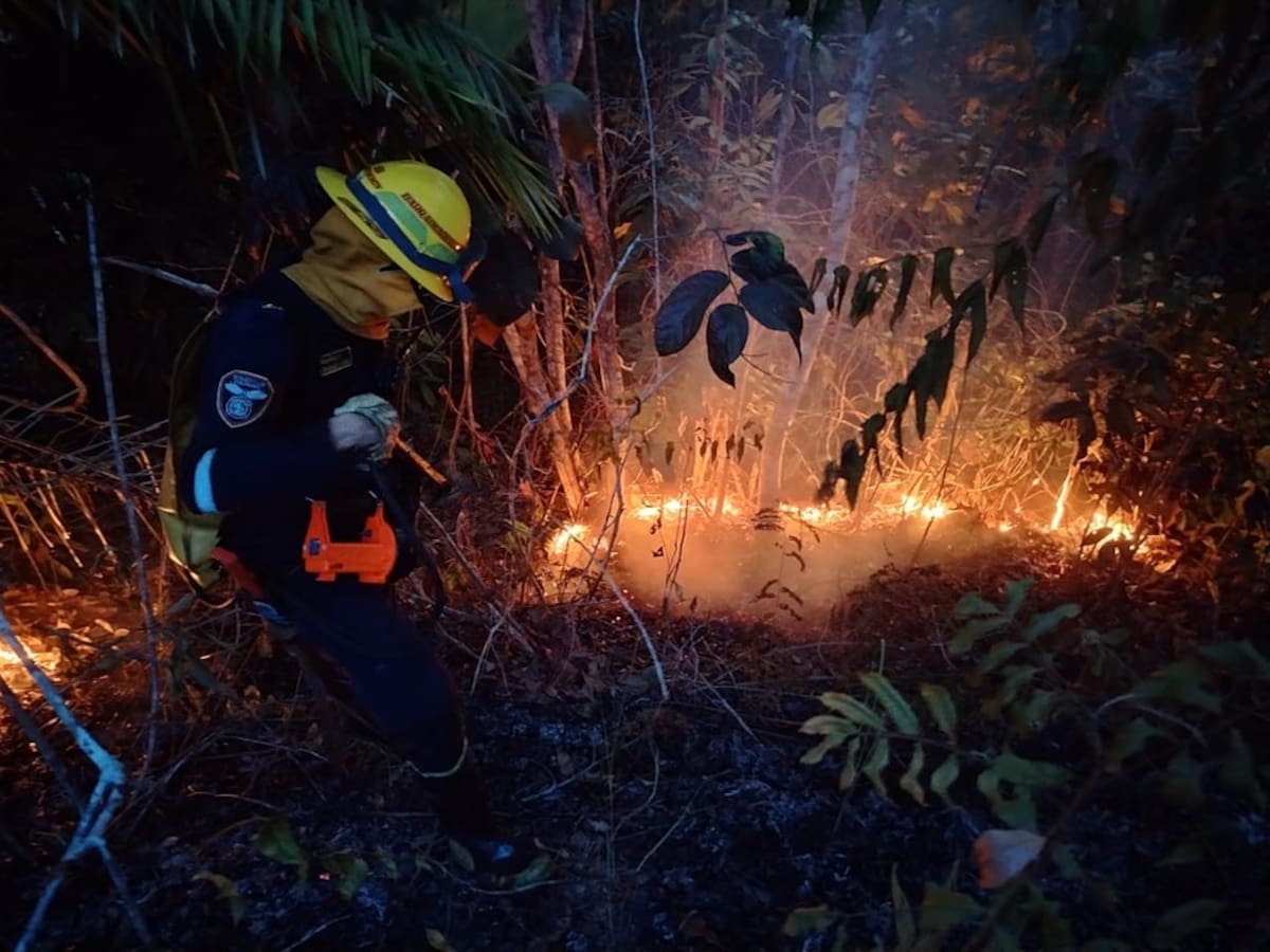 La Administración Distrital adoptó medidas preventivas para disminuir el riesgo de incendios y proteger el recurso hídrico durante la temporada asociada al fenómeno de El Niño.
Suministrada/Vanguardia