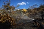 El fenómeno de El Niño, más allá de los mitos: lo que realmente debe saber sobre sus efectos