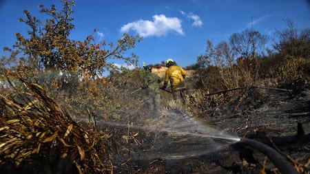 El Niño podría golpear con más fuerza a Colombia entre diciembre y enero: esto advierte el Gobierno