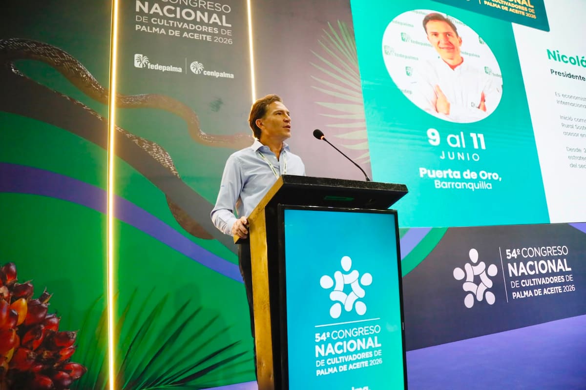 Fenómeno de El Niño podría implicar reducciones en la producción de palma | Foto Cortesía Fedepalma