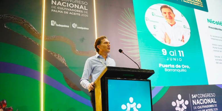 Fenómeno de El Niño podría implicar reducciones en la producción de palma